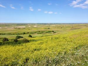 10501655_10100159275388360_5090677178184680750_n