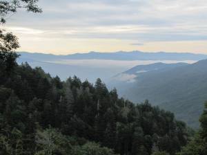 View from Newfound Gap