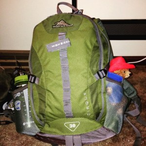 Paddington travels on the outside of the bag. Everyone knows that.